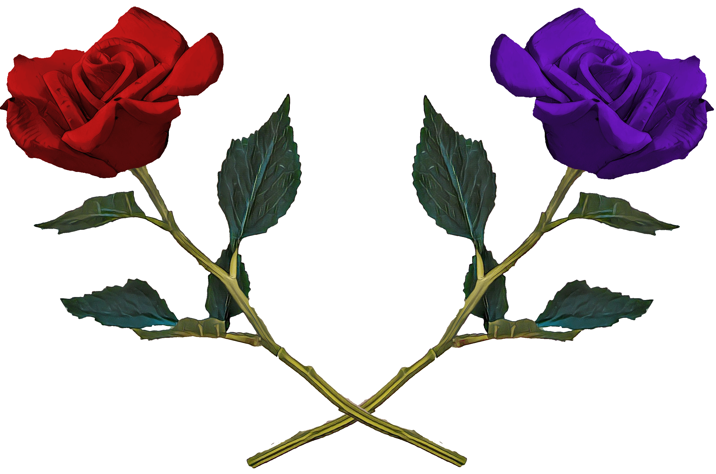 redpurpledoubleroseg.gif