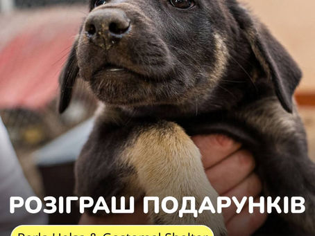 Колаборація з Perla Helsa — вітаміни за донат