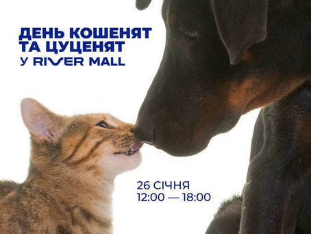 День адопції кошенят та цуценят