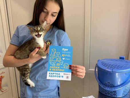 “Лапки в безпеці” з Save Pets та ТРЦ Dream