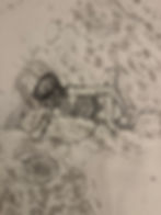 Charcoal drawing of Lauren with a sleeping cat