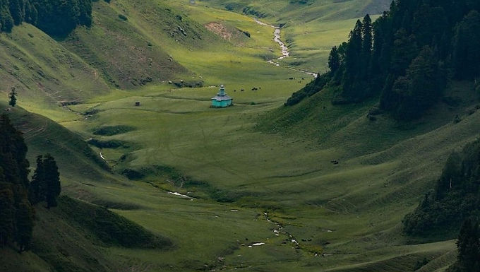 Padri