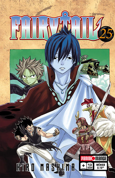 Fairy Tail 25