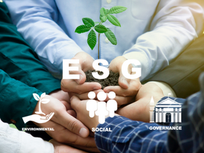 ESG Without the Buzzwords: What Actually Adds Value to a Business?