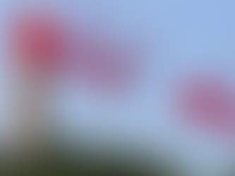 New Labour Migration Policy in Malta – Key Changes from 1st August 2025