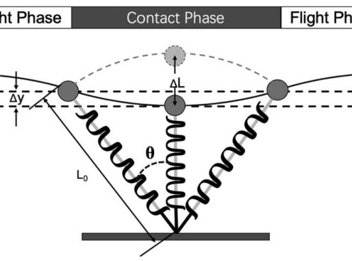 Unveiling the Secrets of Running Efficiency: A Dive into Eccentric Strength and Reactive Power - Article Review