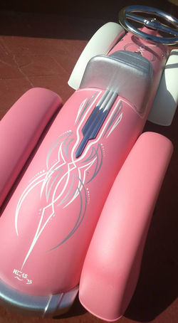 Pinstriping 15 & Chromes.jpg
