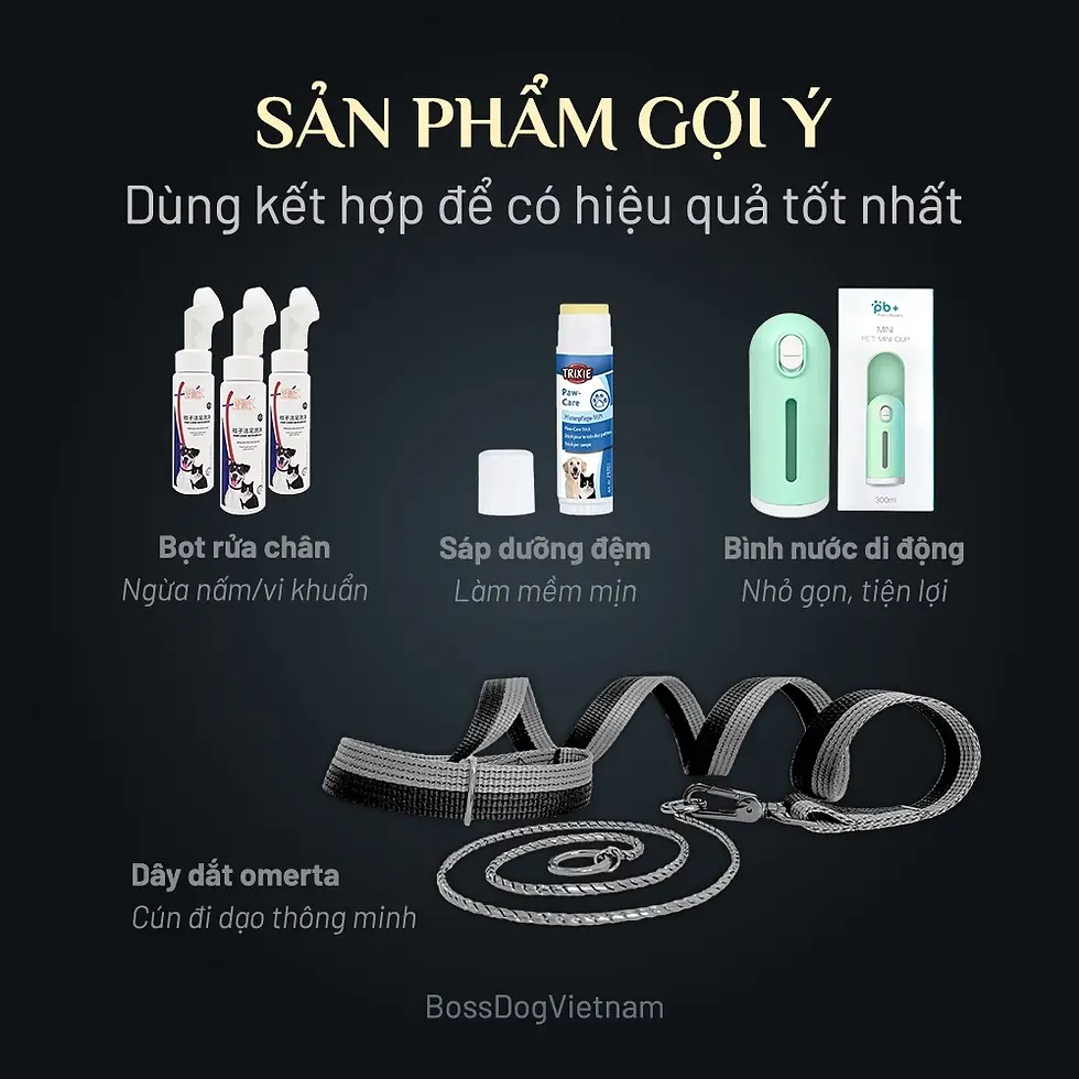Thumbnail: Bình nước di động cho thú cưng - Nhỏ gọn - Tiện lợi - Sang trọn | BossDog