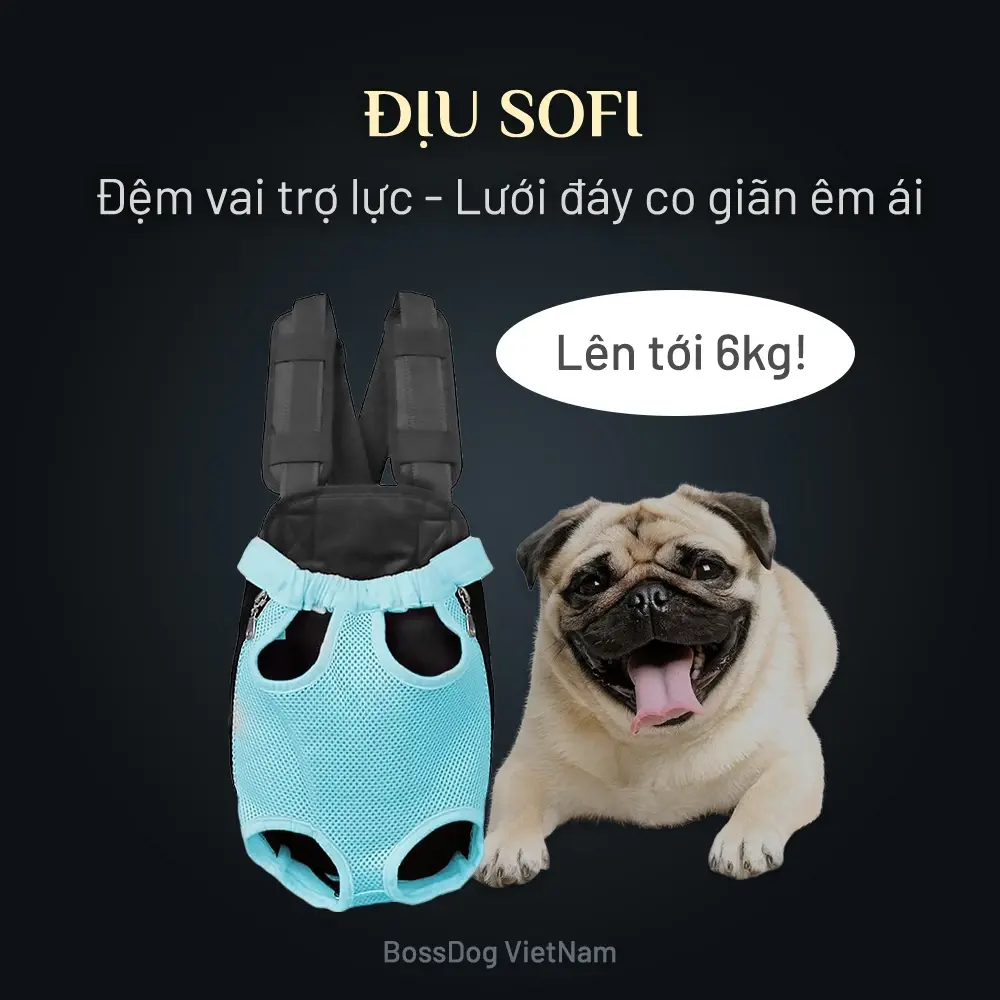 Địu ngực cho chó đi chơi (xe máy, đi dạo..) - Đệm vai êm ái | BossDog