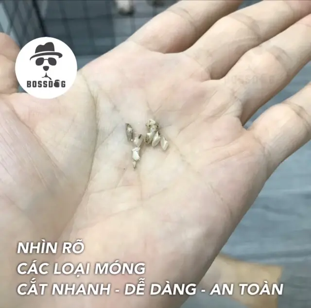 Thumbnail: Kìm cắt móng chó mèo - Đèn chiếu tuỷ, cắt nhanh an toàn | BossDog