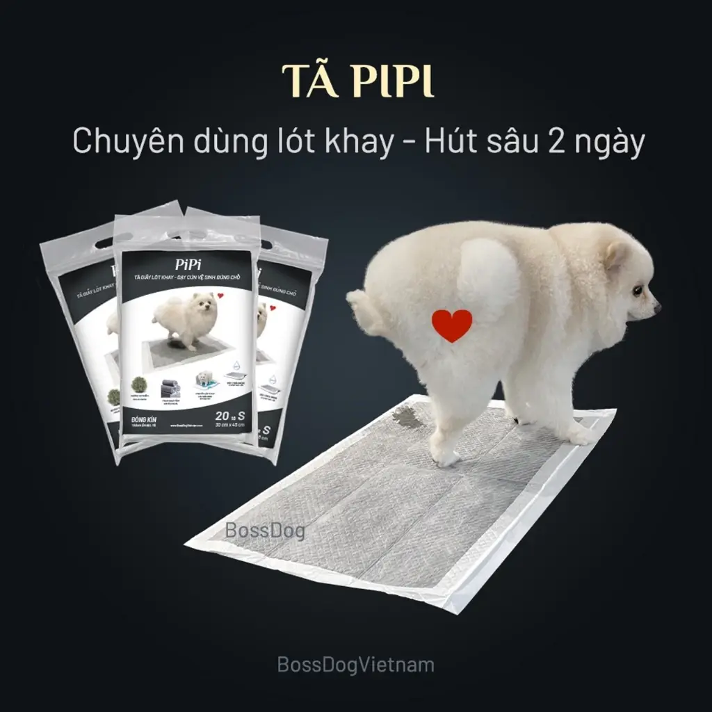 Tã lót vệ sinh chó PIPI kích thích cún tè lần sau | BossDog