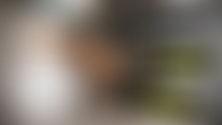 CÚN NHỊN ĐỂ ĐƯỢC RA KHỎI NHÀ ĐI VỆ SINH THÌ NÊN LÀM GÌ?