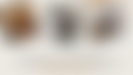 TỔNG KẾT LỜI CẢM ƠN BOSSDOG - Thành công thực tế