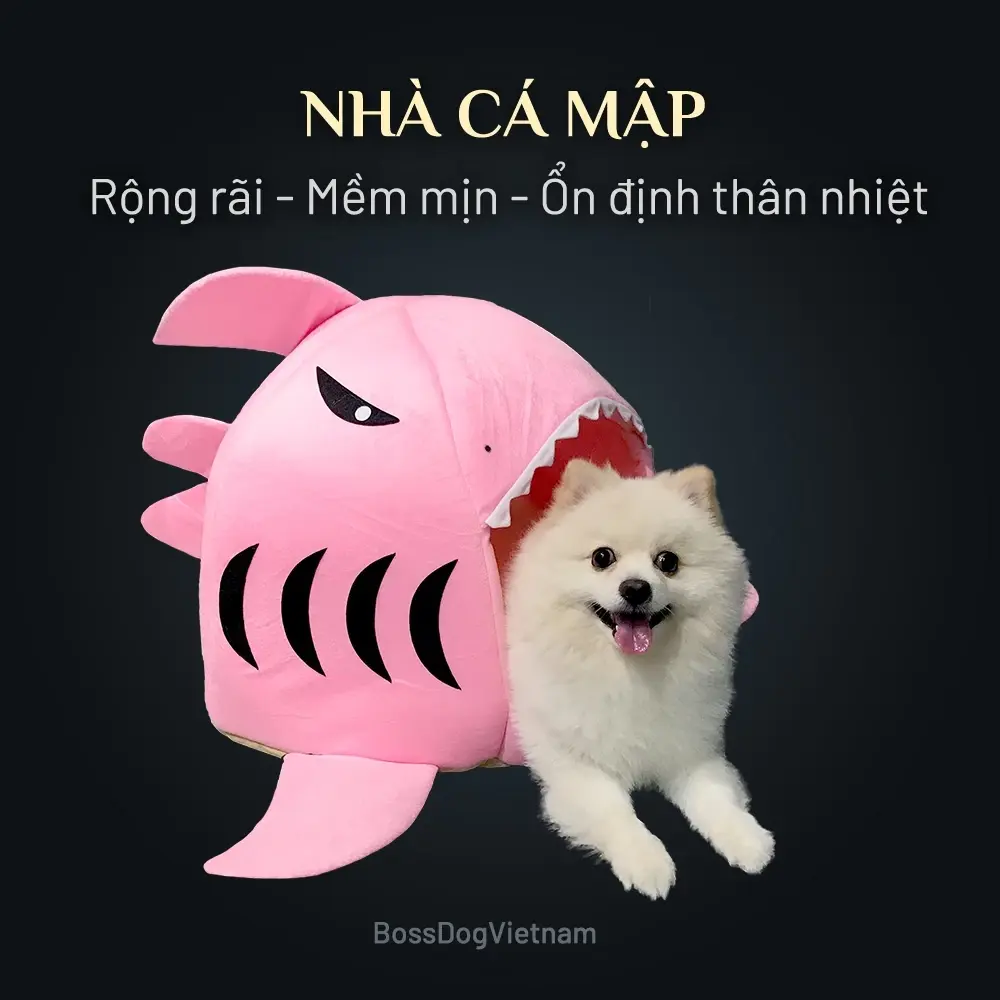 Nhà nệm cá mập cho chó mèo - Cho mọi dòng Poodle, pom, corgi,...| BossDog
