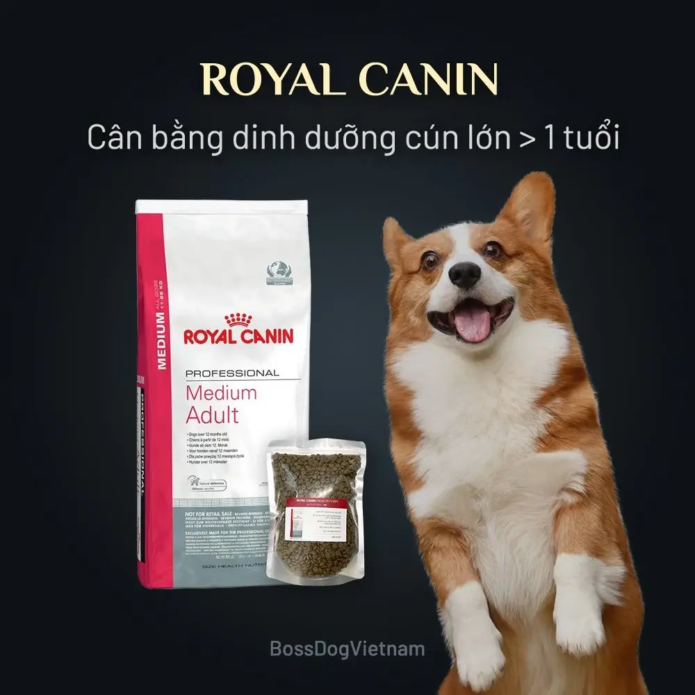 Thức ăn chó Lớn - Royal Canin Medium ADULT (sỉ tiết kiệm - bịch 1kg)| BossDog