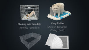 CÁC MÓN ĐỒ DÙNG CƠ BẢN DÀNH CHO NGƯỜI MỚI NUÔI CHÓ