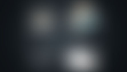 CÁC MÓN ĐỒ DÙNG CƠ BẢN DÀNH CHO NGƯỜI MỚI NUÔI CHÓ