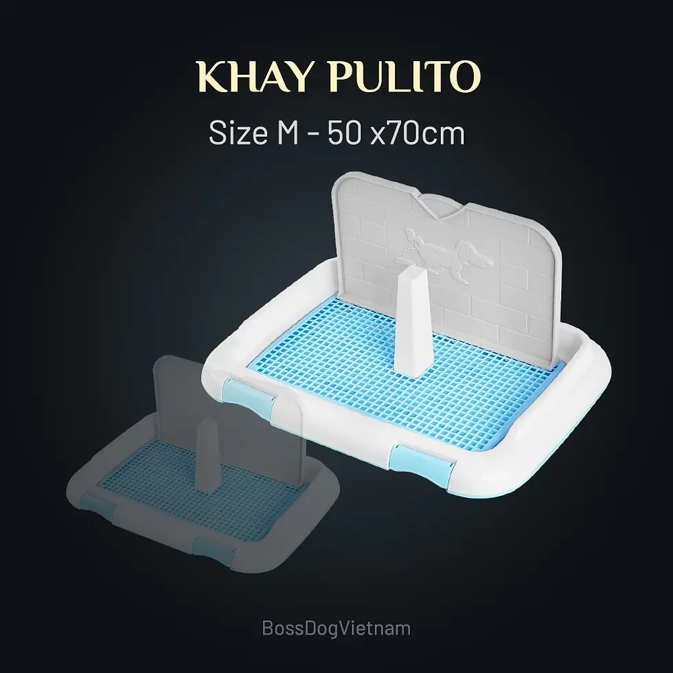 Thumbnail: Khay vệ sinh chó phù hợp mọi dòng cún Poodle, Corgi, Pom | BossDog
