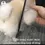 Thumbnail: Lược thẳng chải lông chó, gỡ rối lông cho Poodle Corgi Husky Pom| BossDog