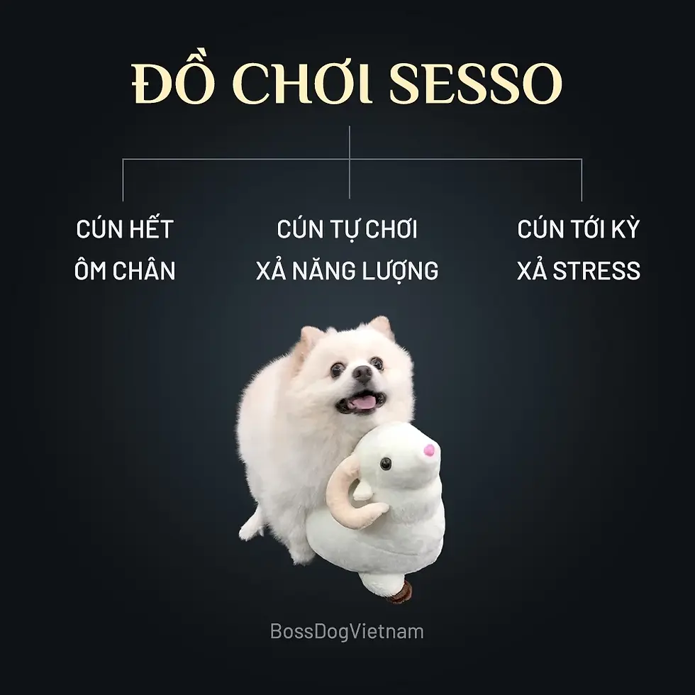 Thumbnail: Đồ chơi thú bông tình yêu cho chó SESSO | BossDog