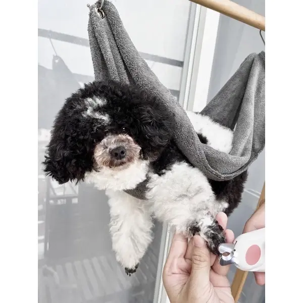Thumbnail: Móc Grooming - Võng treo hỗ trợ cắt móng chó mèo | BossDog