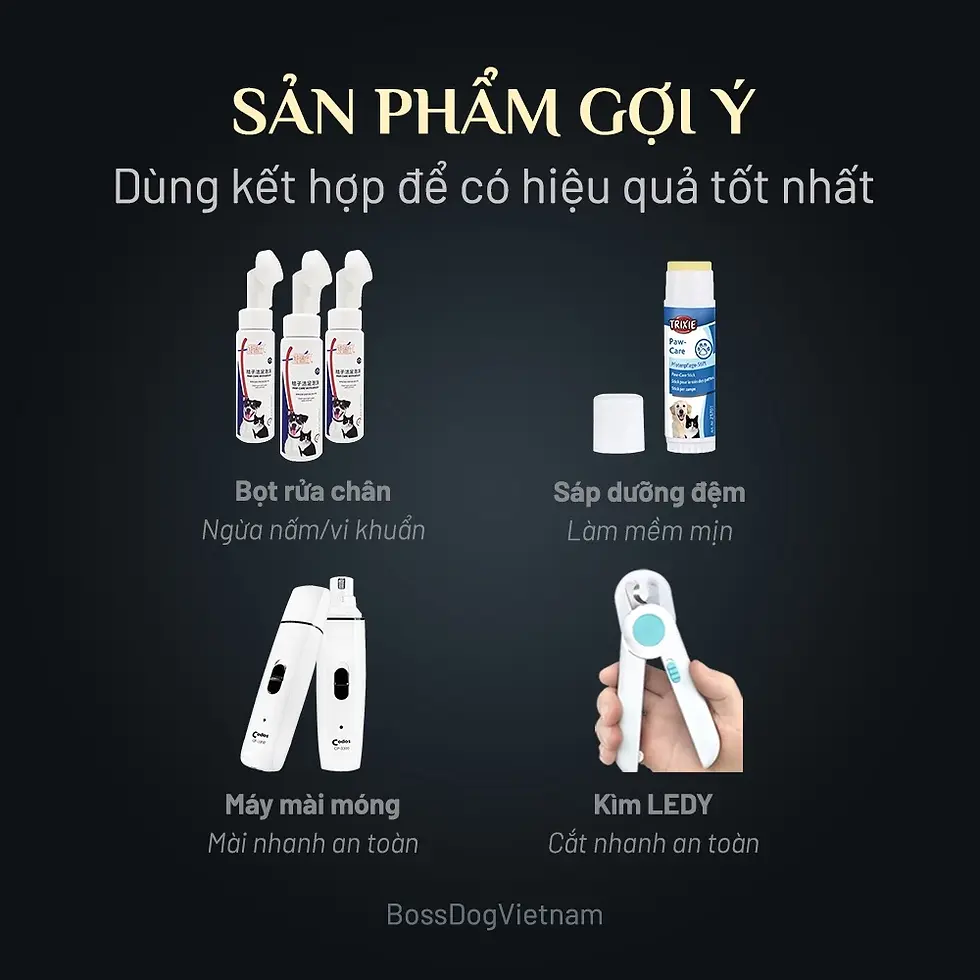 Thumbnail: Bình xịt rửa vệ sinh chân Paw-Care cho cún| BossDog