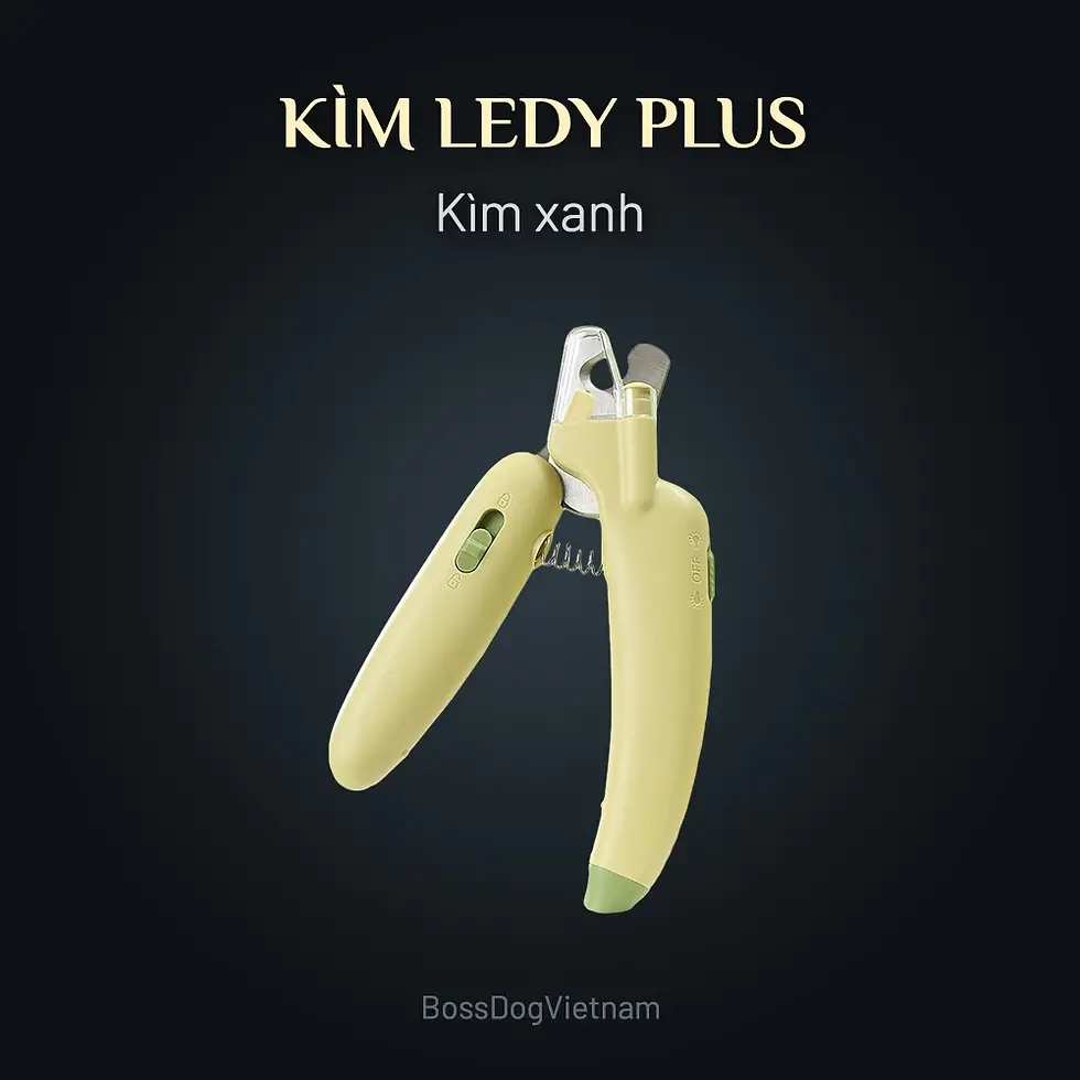 Thumbnail: Kìm cắt móng chó mèo LEDY PLUS - Đèn chiếu tủy, soi tai| BossDog