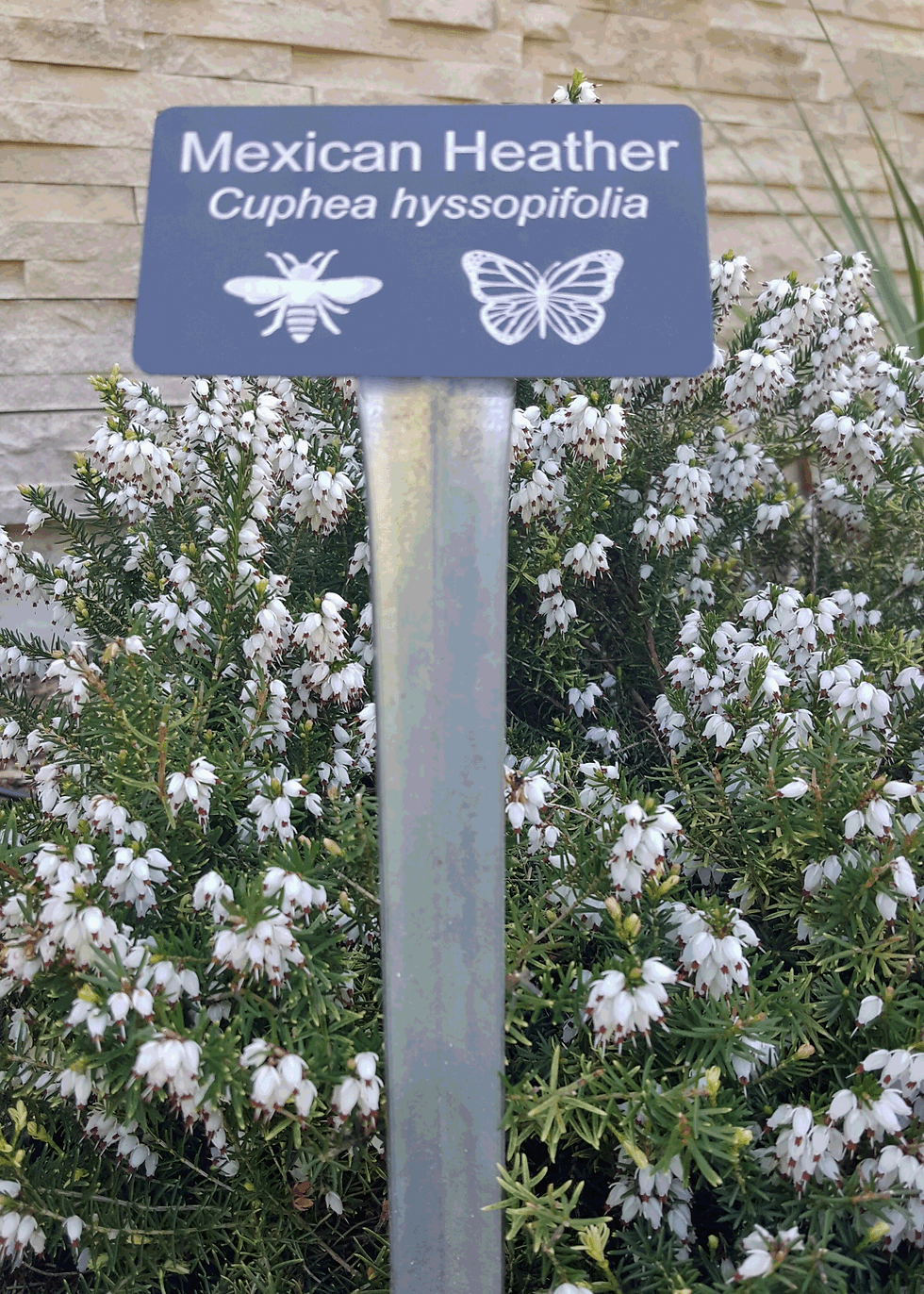 Thumbnail: 18" Tall Botanical Sign