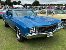 IMG_0309.jpeg