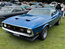 IMG_0229.jpeg