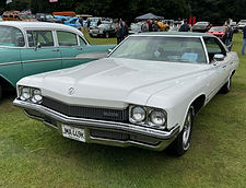 IMG_0201.jpeg