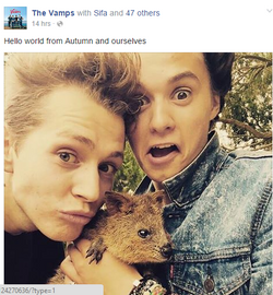 The Vamps <3