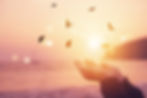 iStock-1215864903.jpg