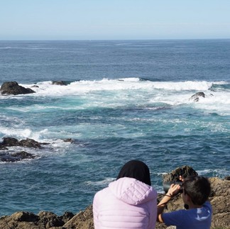 Mendocino Coast Beaches
