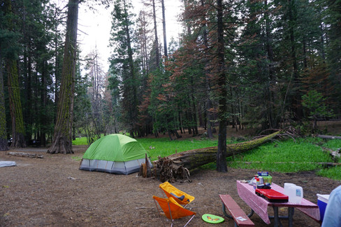 Family tent set up at a Lodgepole Campground site in the Giant Forest area of Sequoia