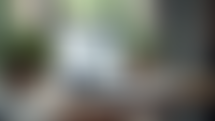 web development in woodlands tx