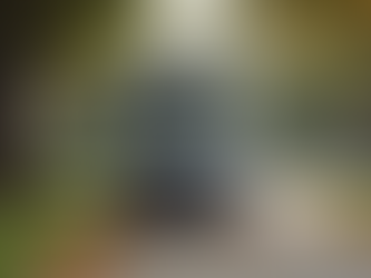 Expert Tips for Choosing the Best Animal Movers in Dallas TX