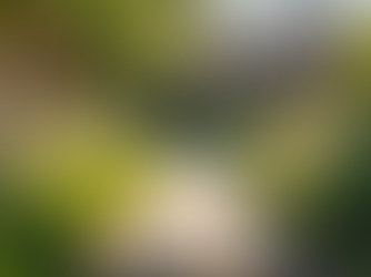 artificial grass landscaping at Low Cost Sacramento ca