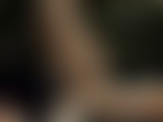 Cat Shipping Near Me - Austin Tx & San Antonio Tx