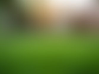Guide to Artificial Grass Installation in Sacramento CA
