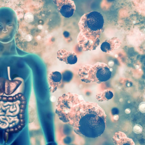 The Two Key Processes Behind Healing and Health