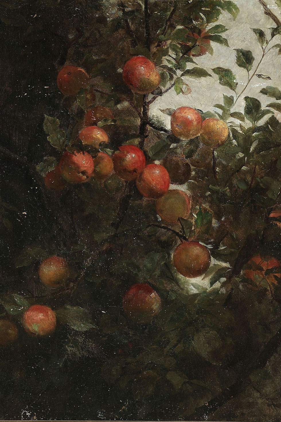 2d05f1ad70eb8d6b406e5fab4244bda4.jpg