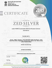Silver_page-0001.jpg