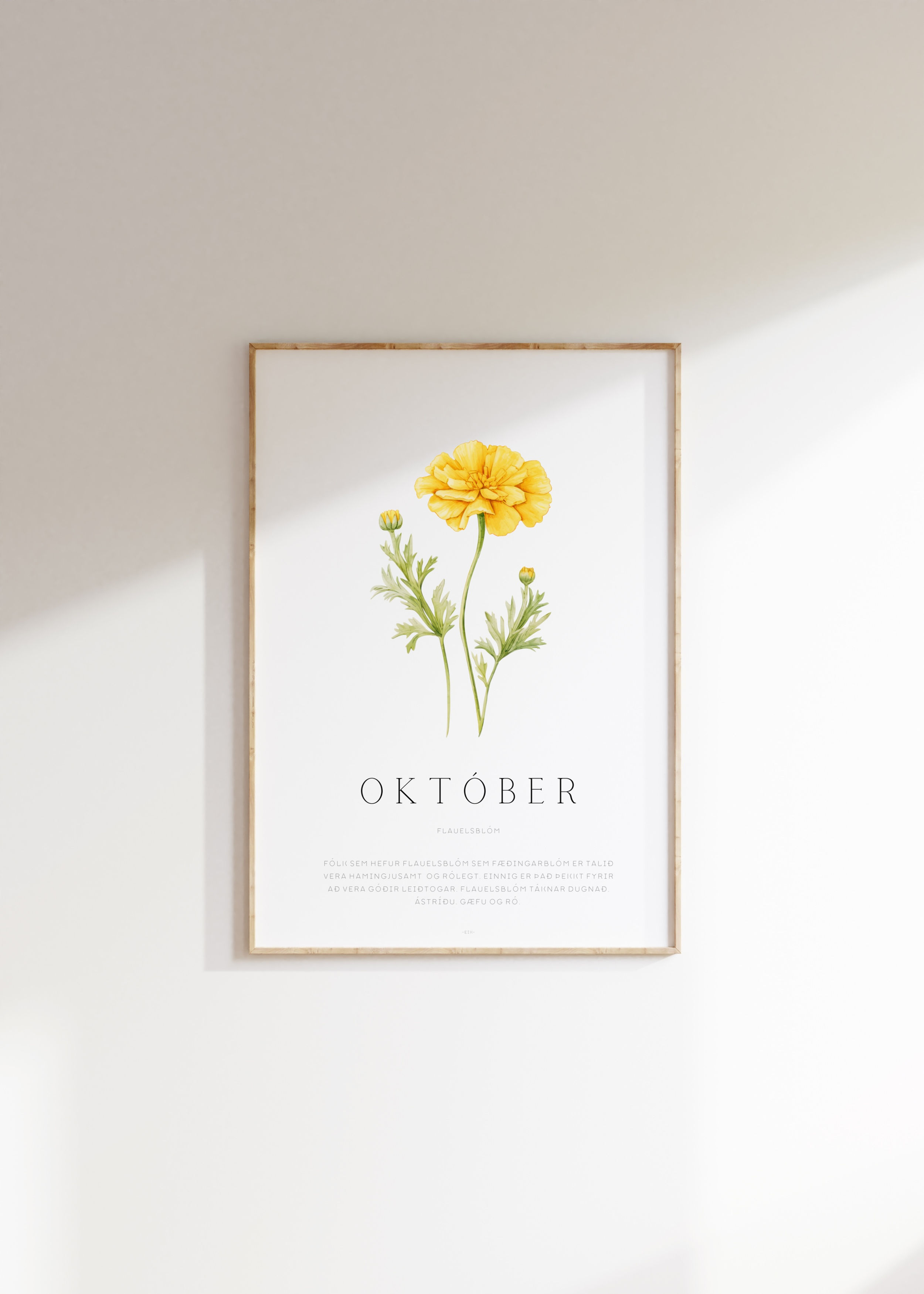 Mánaðarblóm - október rafræn vara