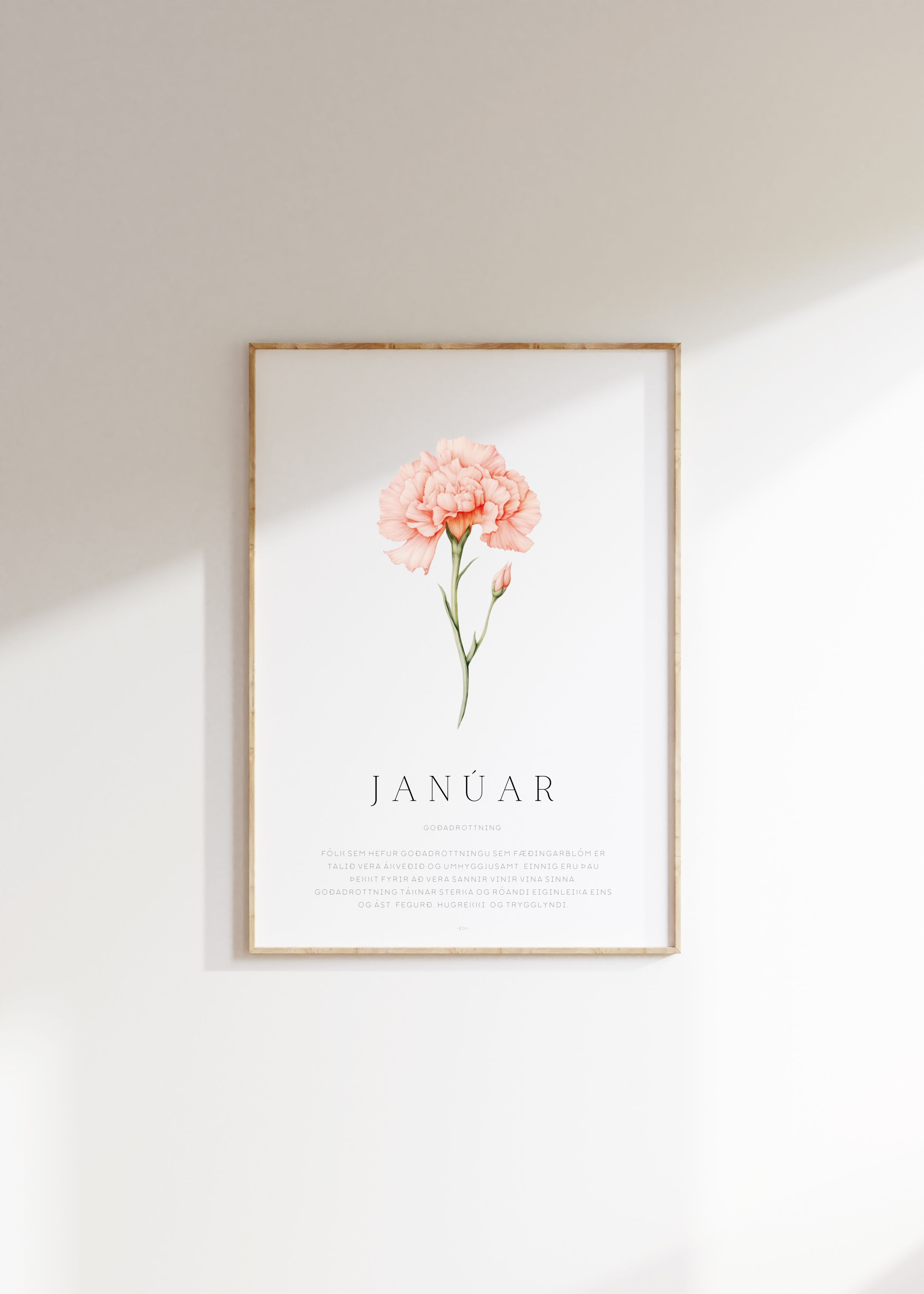 Mánaðarblóm - janúar rafræn vara