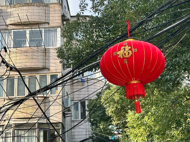 龙年好! What Does This Year Mean for Young People in Shanghai?