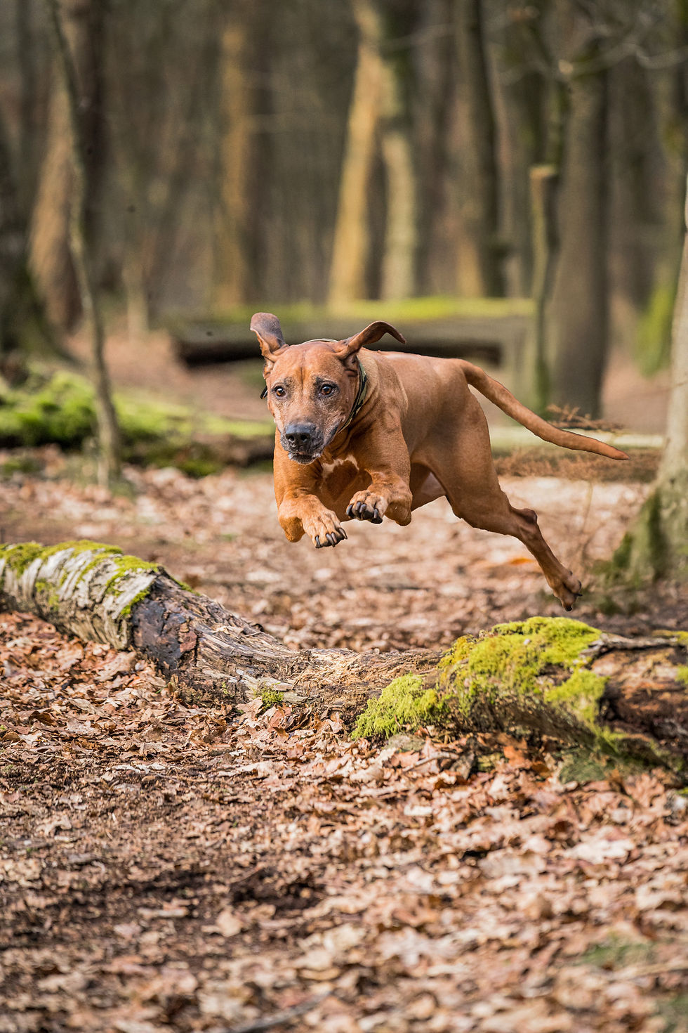 Focus on You (18 von 19).jpg