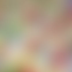 Rezmet Laaroussa aux amandes : Trèfles tricolores aux amandes