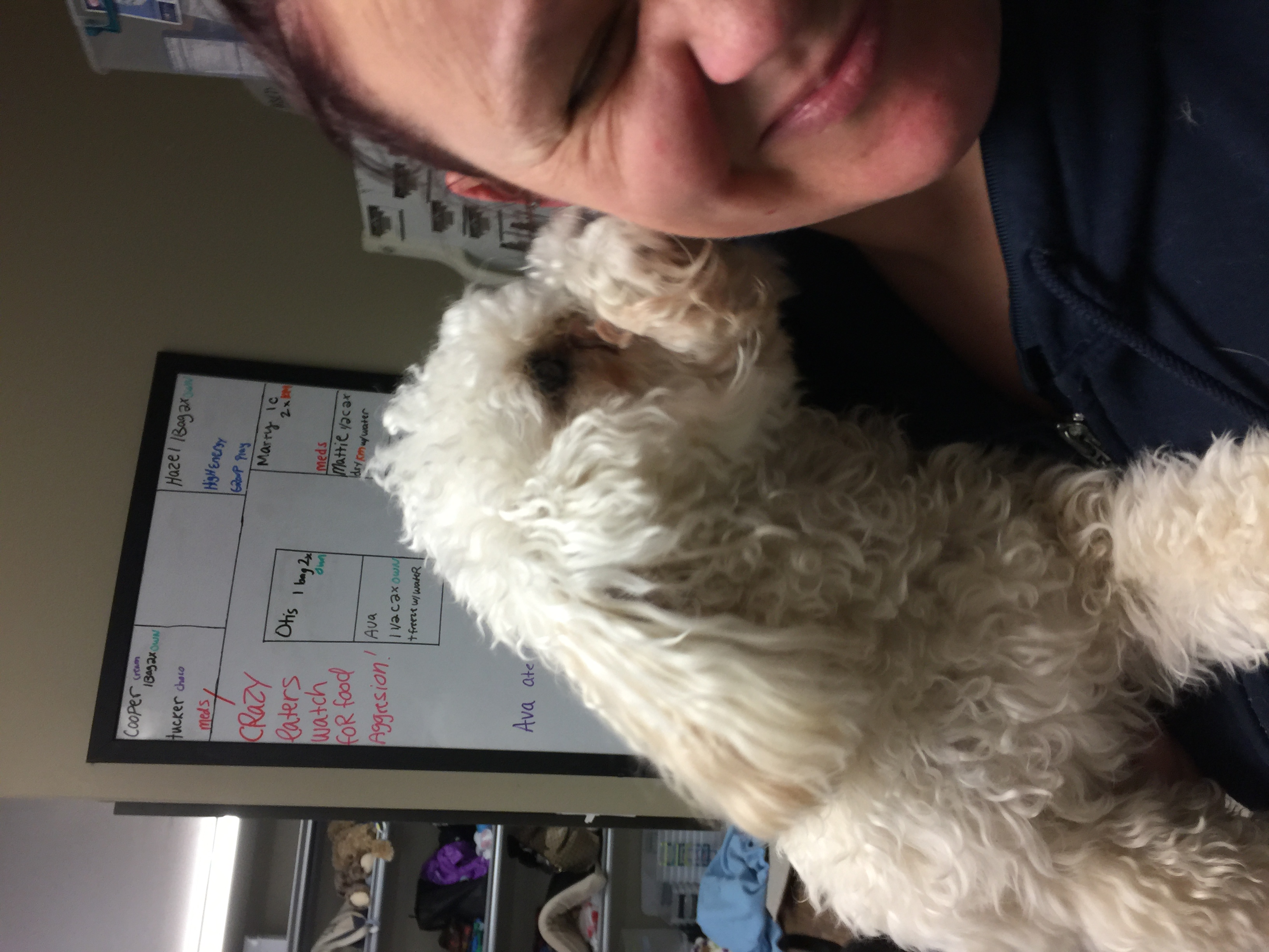 Hereford Bed & Biscuit Boarding & Grooming Kennel in Parkton, MD