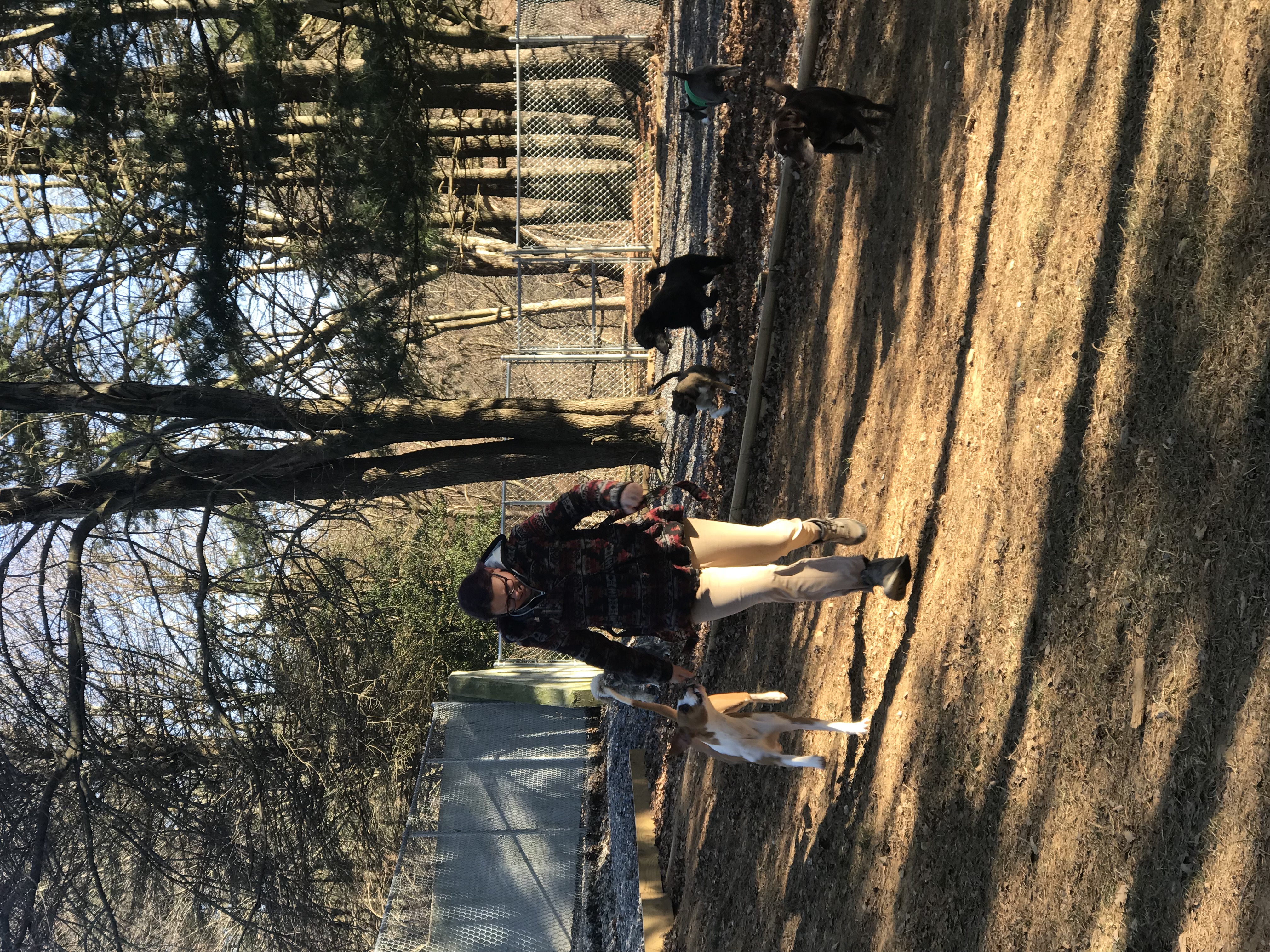 Hereford Bed & Biscuit Boarding & Grooming Kennel in Parkton, MD